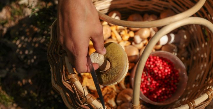 Медики назвали продукт, який має протиракову дію