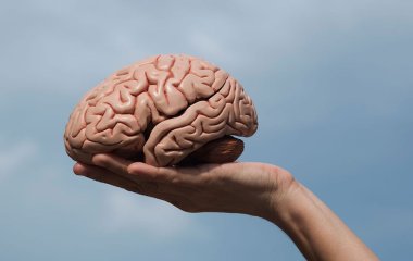 Вчені знайшли в мозку людини зони шкідливих звичок