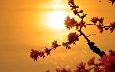 День ангела 29 травня: кого та як вітати з іменинами