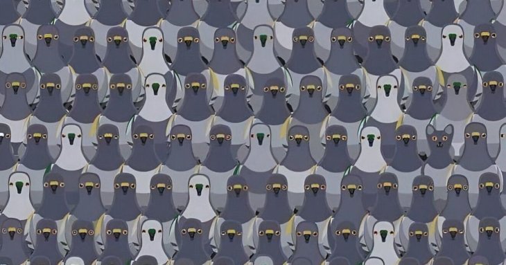 Перевірте себе: лише 1% людей може знайти на картинці кота за 7 секунд