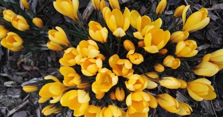 День ангела 16 березня: кого та як вітати з іменинами