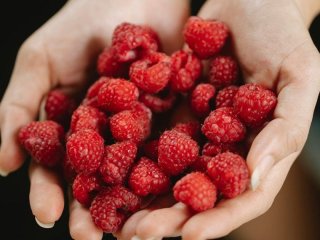Не лише квасоля: шість продуктів із найбільшим вмістом клітковини, які радять дієтологи
