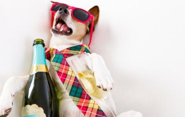 5 рецептов необычных напитков от похмелья