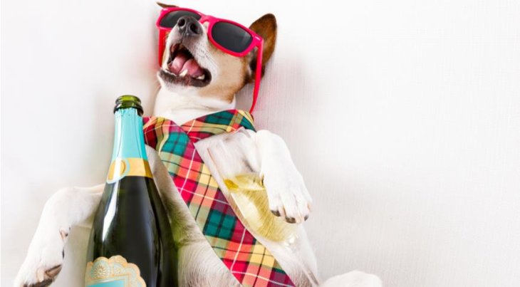 5 рецептов необычных напитков от похмелья