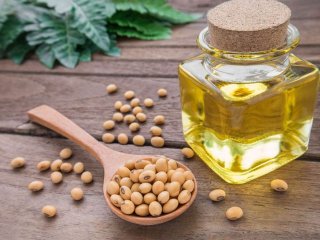 Медики назвали продукти, які швидко відновлять роботу печінки