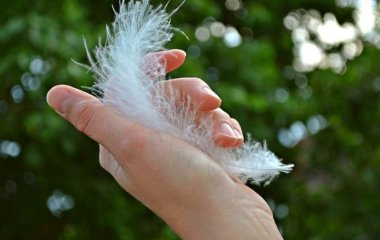 Медики рассказали о каких болезнях говорят полосы и борозды на ногтях