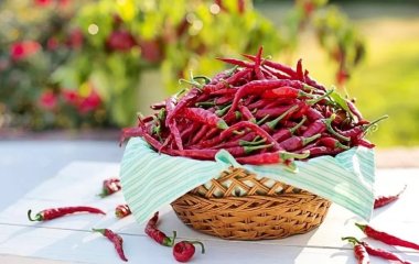 Що робить перець чилі незамінним продуктом