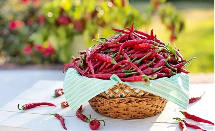 Що робить перець чилі незамінним продуктом