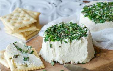Как сделать дома сыр для веганов. Советы и рецепты
