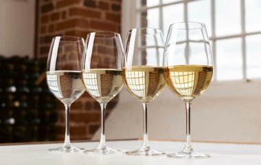 Види вина: як правильно вибрати напій до їжі