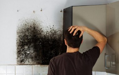 Перевірені способи видалення плісняви ​​на шпалерах