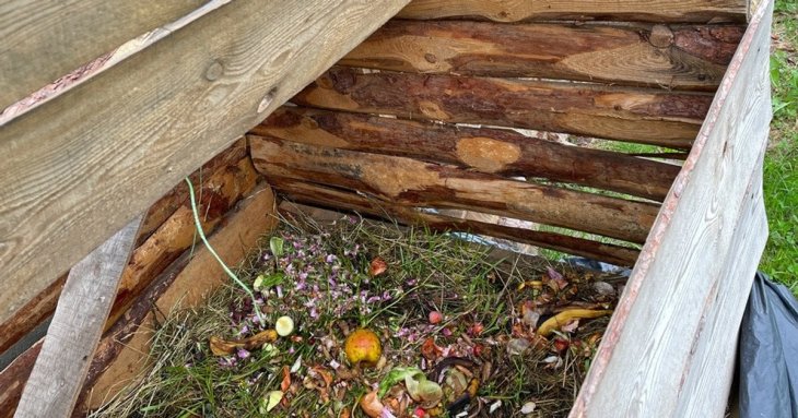 Що можна кидати в компостну яму, а що — ні: детальний розбір