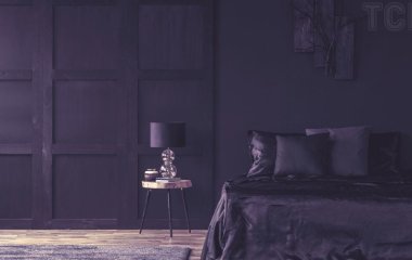 Пара повернулася додому опівночі та виявила у спальні дикого звіра – відео