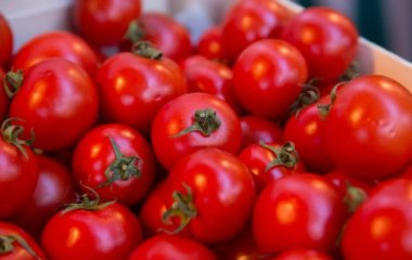 Дієтолог назвала п'ять продуктів, багатих на залізо.