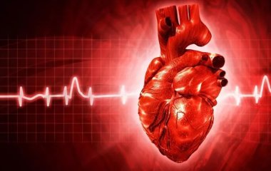Кардіологи з'ясували, як відновити серце після інфаркту