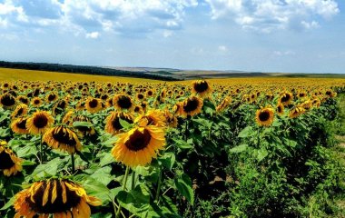 День ангела 30 червня: кого та як вітати з іменинами