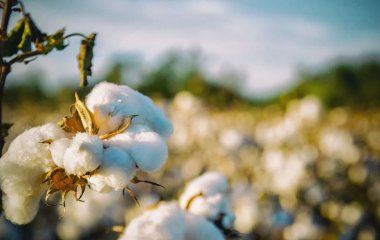 Які нові українські слова стали найпопулярнішими під час повномасштабної війни