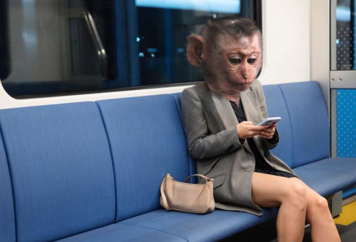 Иммунолог рассказал, у кого меньше шансов заболеть оспой обезьян