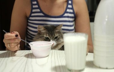 Названі необхідні для жіночої краси продукти