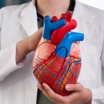 Кардиологи назвали неожиданную причину болезней сердца