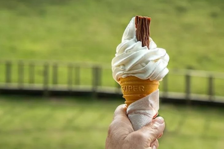 Пломбир, щербет или фруктовый лед: выбираем мороженое с диетологом