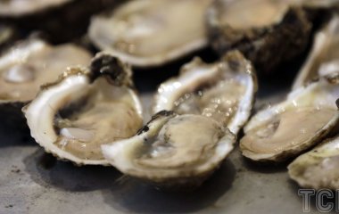 Не лише устриці: 8 продуктів із цинком, які реально працюють для імунітету