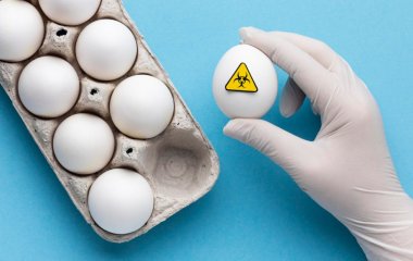 Ученые рассказали, влияет ли употребление яиц на уровень холестерина