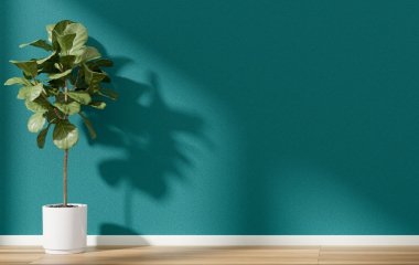 Домашние растения, очищающие и увлажняющие воздух в квартире