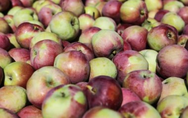 Названий продукт, що спалює жир