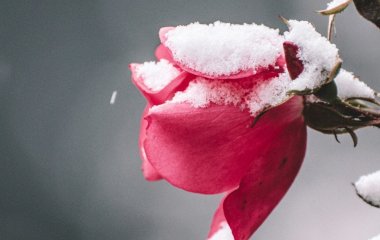 День ангела 3 грудня: кого та як вітати з іменинами