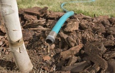 Що категорично не можна робити на городі та в саду, щоб не занапастити ґрунт і майбутній урожай