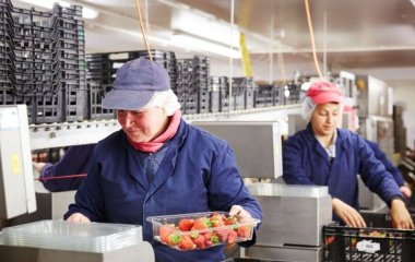 10 найбільш високооплачуваних некваліфікованих професій у Польщі: хто отримує велику заплатню без диплома