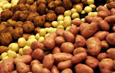 Ці сорти картоплі визнані найкращими експертами та споживачами