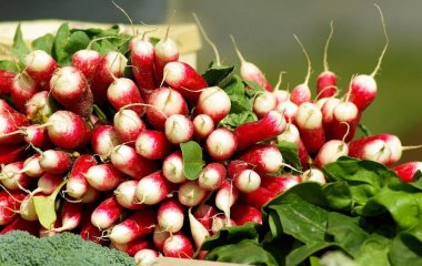 Цей сезонний овоч може бути не таким корисним, як всі думають