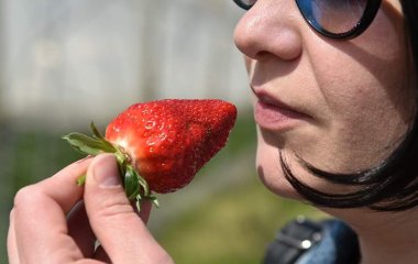Лікар розповів про харчування за відсутності апетиту