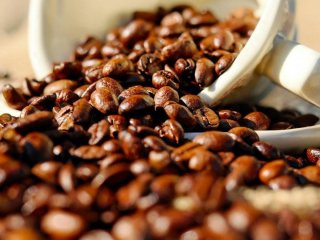 Що відбувається з печінкою, якщо пити каву щодня — висновки досліджень