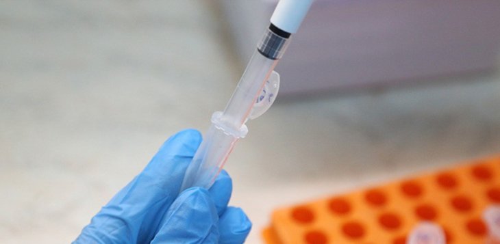 Стовбурові клітини змогли перетворити на клітини кістки за допомогою звуку