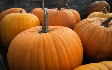 Три недорогі продукти, які врятують вас від підвищеного холестерину