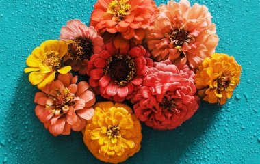 День ангела 8 липня: кого та як вітати з іменинами