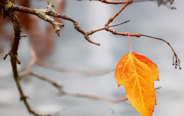 День ангела 28 жовтня: кого та як вітати з іменинами