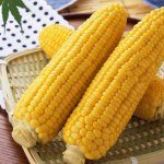 Снижает холестерин и риск диабета: полезные и малоизвестные свойства кукурузы