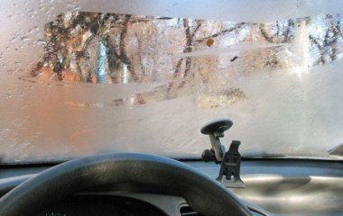 Популярное среди владельцев животных средство поможет убрать лишнюю влагу в авто
