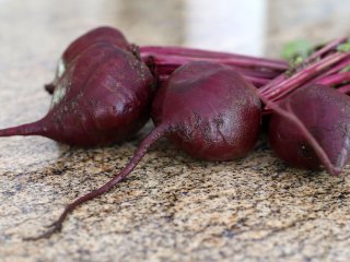Для чого варто ввести буряки у свій раціон: чим корисний коренеплід