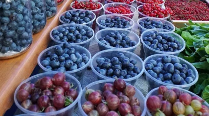 Фітотерапевт назвав потужний природний детокс-продукт