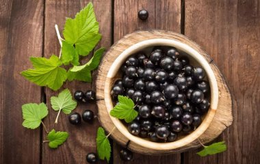 5 необычных блюд из дачной смородины