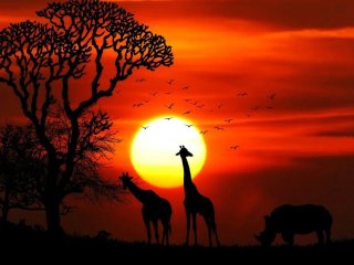 Африка розколюється навпіл: вчені виявили гігантський підземний розлом