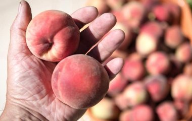 Лікар перерахувала корисні властивості персиків