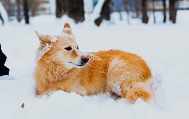 День ангела 19 січня: кого та як вітати з іменинами