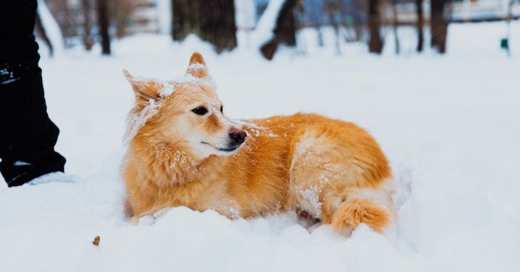 День ангела 19 січня: кого та як вітати з іменинами