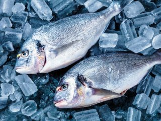 Как почистить рыбу без ножа: топ действенных методов
